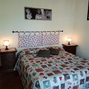 Alexander , Ciampino Italia
